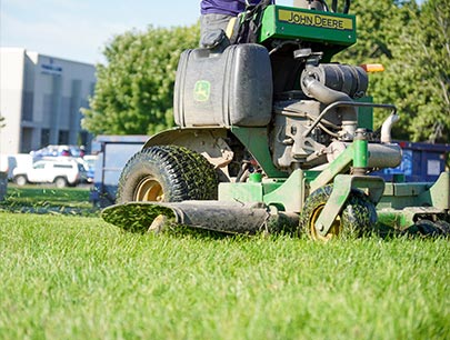 Green Grass Treeming With Lawn Mower