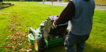Mowing A Lawn With Leaves
