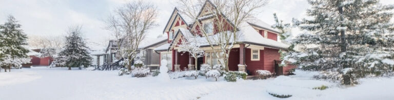 House and trees covered in snow