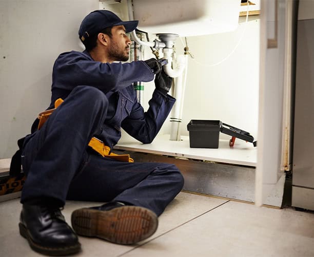 Professional Plumber Under Sink Repair